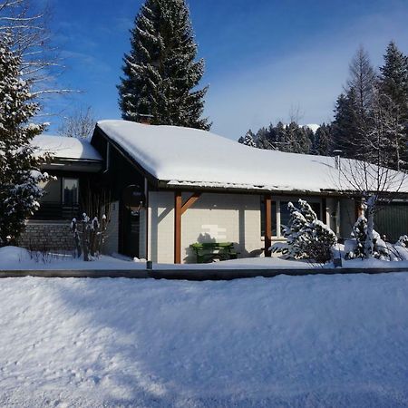 Villa Haus Sonnenalm Bad Mitterndorf Exterior foto